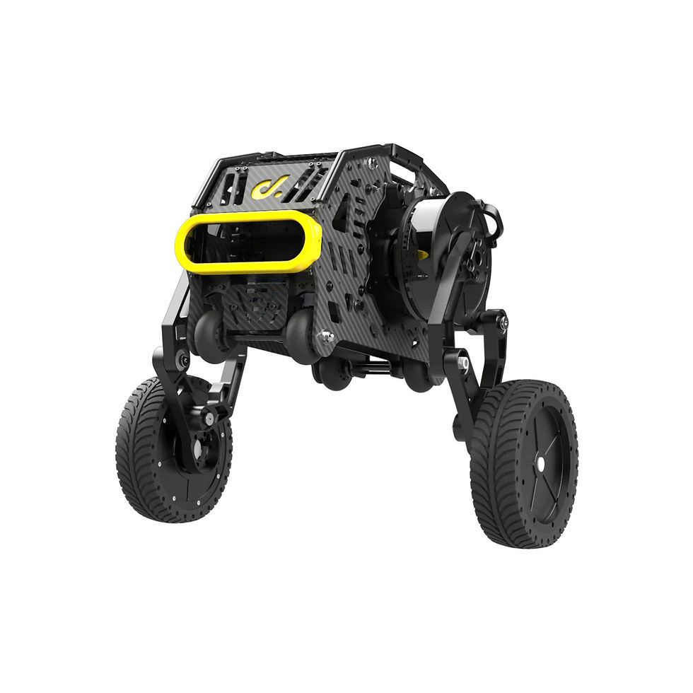 Diablo Self-Balancing